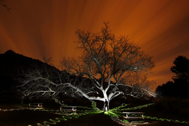 SAMico_hechando raices_011