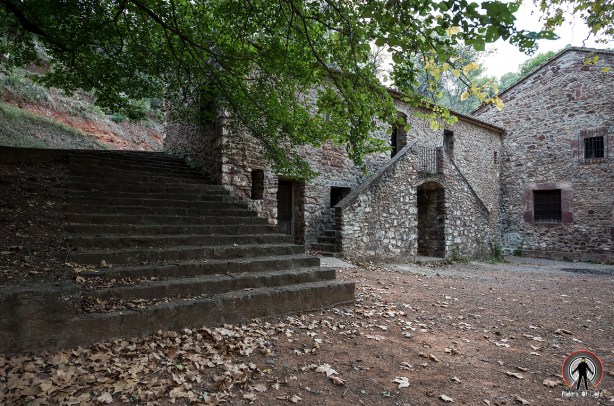 _DSC9229 WEB con logo